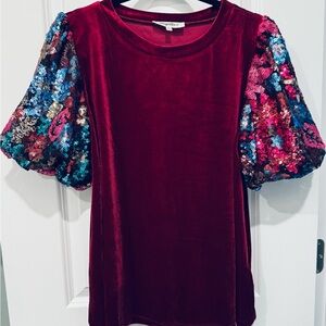 Sequin Puff Sleeve Velvet Blouse ✨
